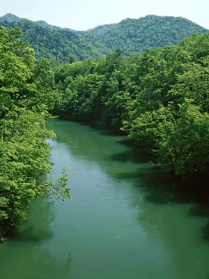 神戸駅近くのビジネスホテル【東横INNJR神戸駅北口】の魅力と利用ガイド