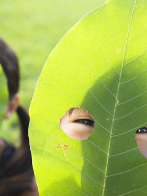 高松のビジネスホテル「東横INN高松兵庫町」の魅力と詳細情報