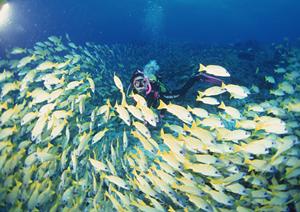 奈良県天理市のビジネスホテル｜東横INN天理駅前の魅力と料金、アクセス情報