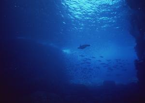 長崎県対馬市に位置する東横INN対馬厳原：快適な滞在と充実したサービスを提供するビジネスホテルの魅力