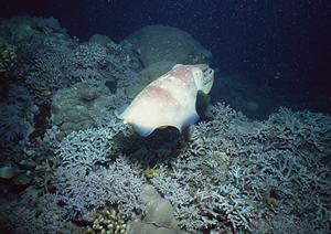 長野県上田市にあるビジネスホテル「東横INN上田駅前」：快適な宿泊体験と便利なアクセスを提供