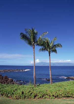 東横INN東大阪：快適なビジネスと観光の宿泊体験を提供する大阪の安心ホテル