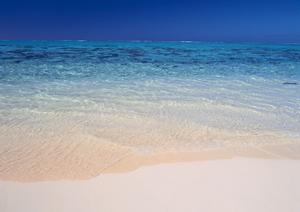 岩手県一関市に位置する東横INN一ノ関駅前：快適な宿泊体験と便利なアクセスのご紹介