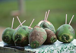 【公式】東横INN印旛日本医大駅前｜千葉県印西市のビジネスホテルの魅力と詳しい情報