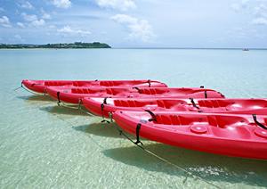 小豆島フェリー利用者必見!便利な交通手段と観光情報を徹底解説