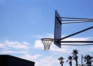 ボホール島の魅力を案内してくれるオプショナルツアー
