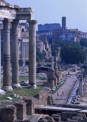 トラックシートの販売店について