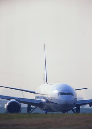 ハワイの現地ツアーを紹介します