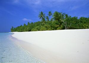 愛知県安城市にあるビジネスホテルの魅力：東横INN三河安城駅新幹線南口1の詳細ガイド