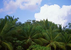 梅田でのカラオケ体験を最大限に楽しむための完全ガイド！予約方法やおすすめプランを徹底解説
