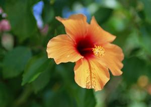 神奈川県茅ヶ崎市のビジネスホテル「東横INN茅ヶ崎市役所」：快適な宿泊と便利なアクセスのポイント