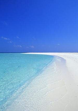 古都だからこそレンタサイクルが便利です。