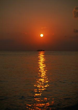 千葉県流山市のビジネスホテル：東横INN流山おおたかの森駅前の魅力と利用ガイド