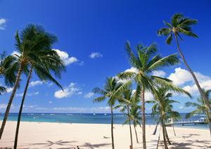 盛岡駅から徒歩3分！快適な滞在を提供する東横INN盛岡駅南口駅前の魅力と詳細情報