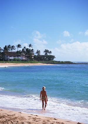東京の動物カフェでハリネズミに会える