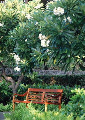 au損保の海外旅行保険のメリット