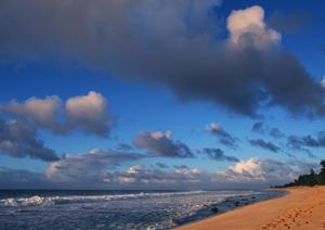 大阪市に位置する東横INN新大阪中央口本館：アクセス便利な快適ビジネスホテルの詳細ガイド