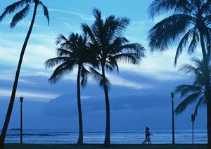小豆島にはニャンコフェリーが便利