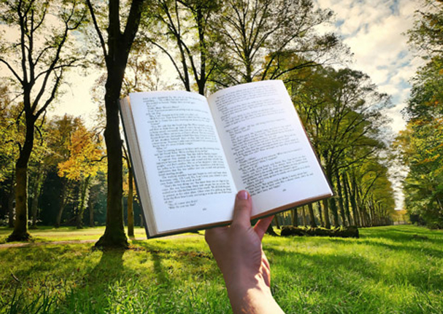 温泉で都会の喧騒を忘れてリラックス